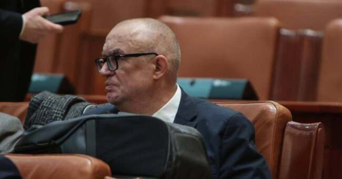 senator USR Răzvan Anghel în discurs politic