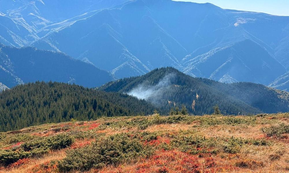 Incendiu de pădure în Nucșoara, pe muntele Drăghina, care a afectat 500 mp