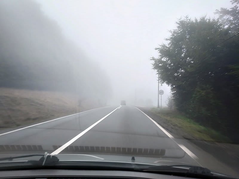 Cețurile de toamnă au apărut în zona Dealul Pietriș din Târgu Lăpuș