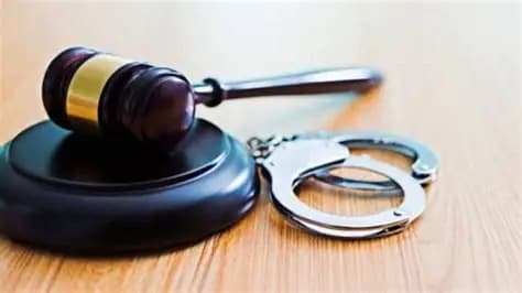 dosar penal, firme, reținere, anchetă fiscală dosar penal, firme, reținere, anchetă fiscală