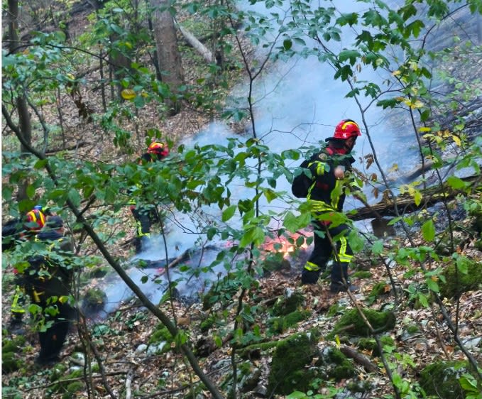 Incendii de amploare în județele Vâlcea și Caraș Severin: trei elicoptere Black Hawk intervin