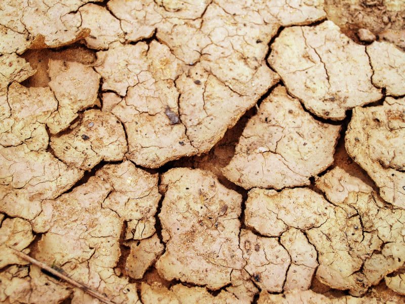teren uscat pentru semănat în județul Olt teren uscat pentru semănat în județul Olt