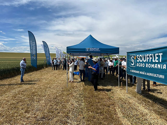 Soufflet Agro România a înregistrat o creștere de 31,7% în 2025, atingând 324,8 milioane lei