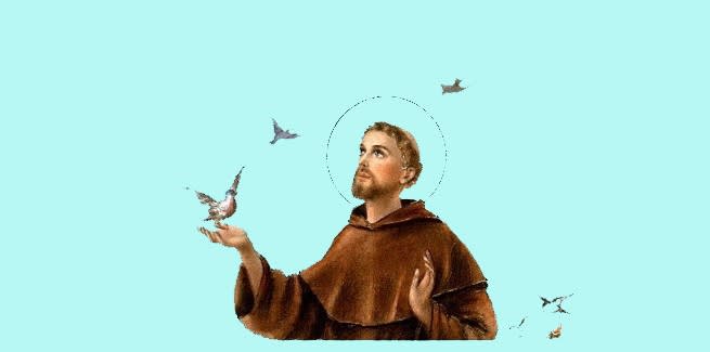 Sfântul Francisc de Assisi în proces de canonizare