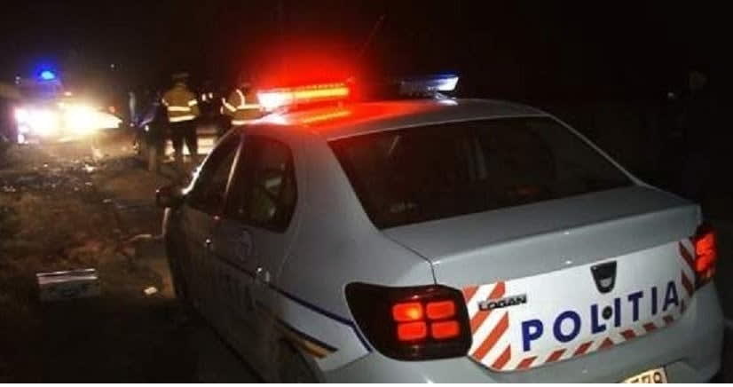 autoutilitară Mercedes-Benz încărcată cu lemne în pădurea din Boroaia autoutilitară Mercedes-Benz încărcată cu lemne în pădurea din Boroaia
