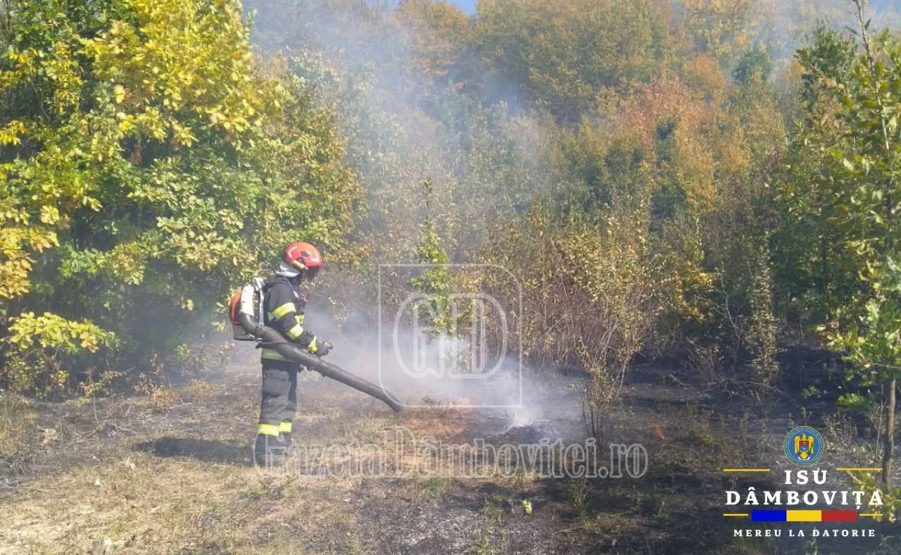 Incendii de vegetație uscată în două localități din Dâmbovița. Populația, avertizată prin RO-ALERT