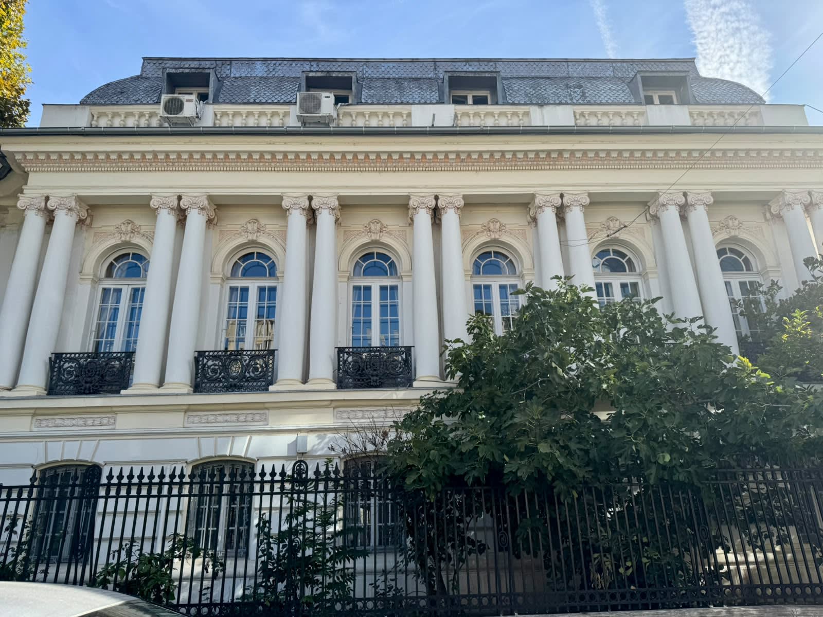 Traseistul Griguță Filipescu a preluat Palatul lui Leonida Gussi în București