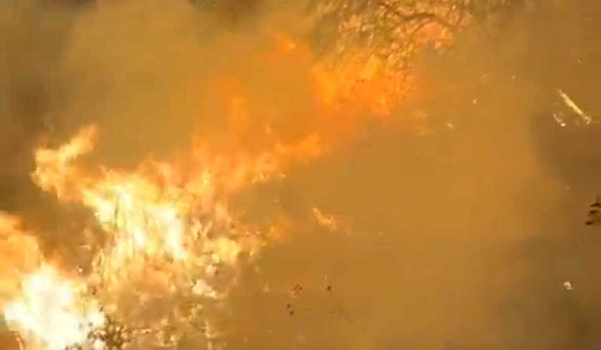 pompieri stingând incendiu de vegetație în Vaslui pompieri stingând incendiu de vegetație în Vaslui
