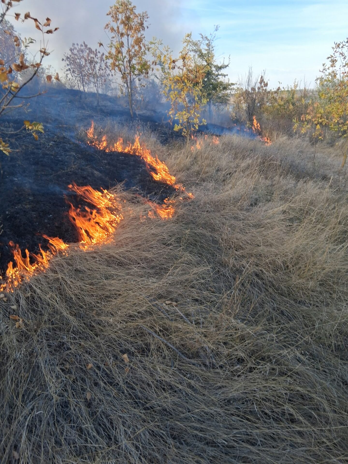Foc de vegetație la Râpa Albastră, lângă Bârlad