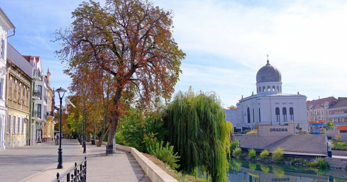 Activități culturale în Oradea pe 8 octombrie Activități culturale în Oradea pe 8 octombrie