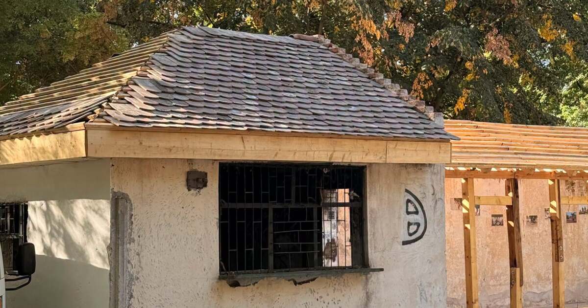 Țiglele de la Castelul Huniade refolosite la Baza Uszoda