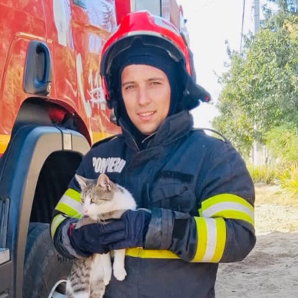 O pisicuță din Budeni a fost salvată de pompieri după o noapte în brad