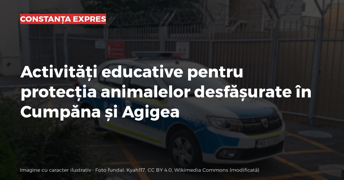 Imagine cu caracter ilustrativ