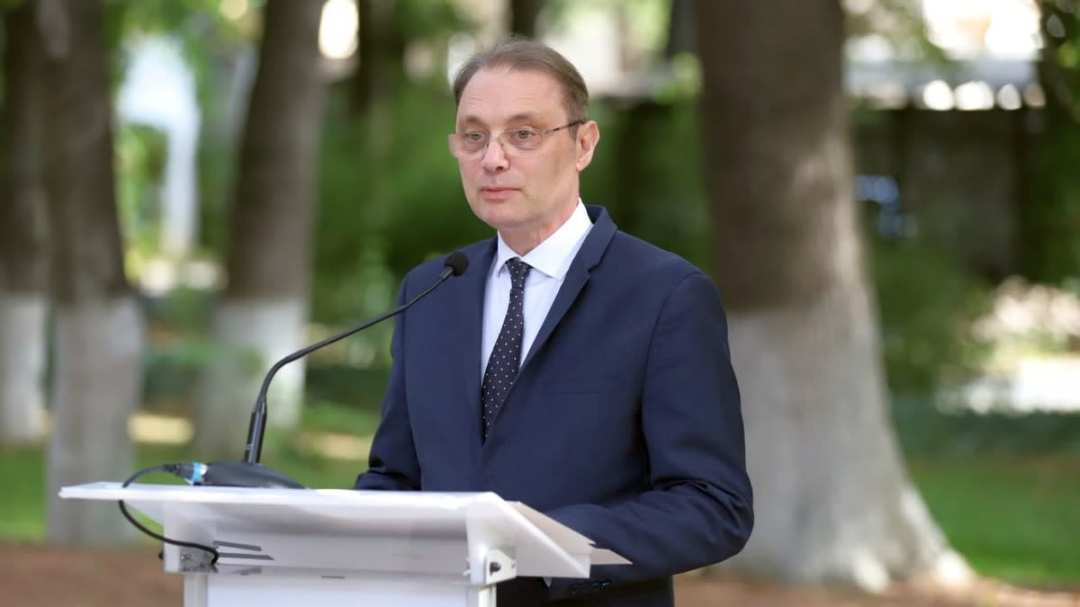 Luca Niculescu la Digi24