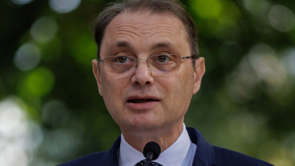 Luca Niculescu discutând despre buget