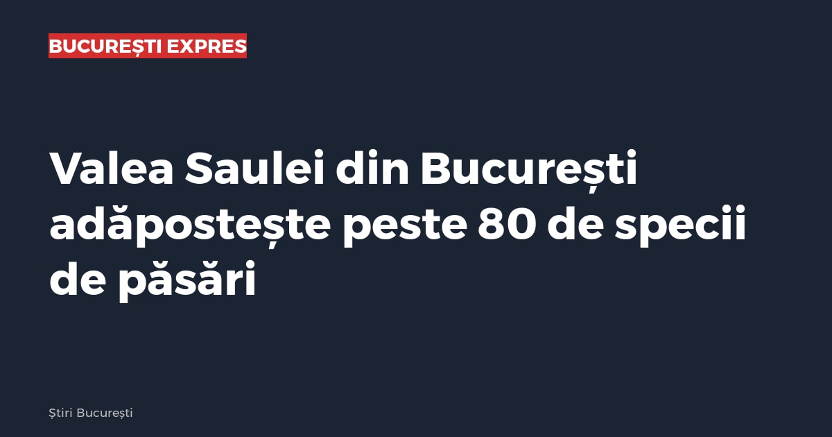 Valea Saulei din București adăpostește peste 80 de specii de păsări