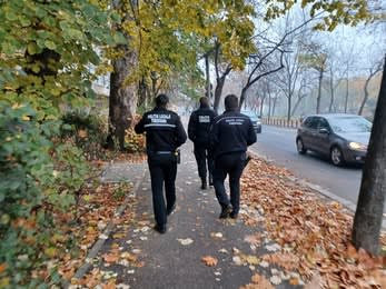 Foto: Directia Generala Politia Locala Timisoara