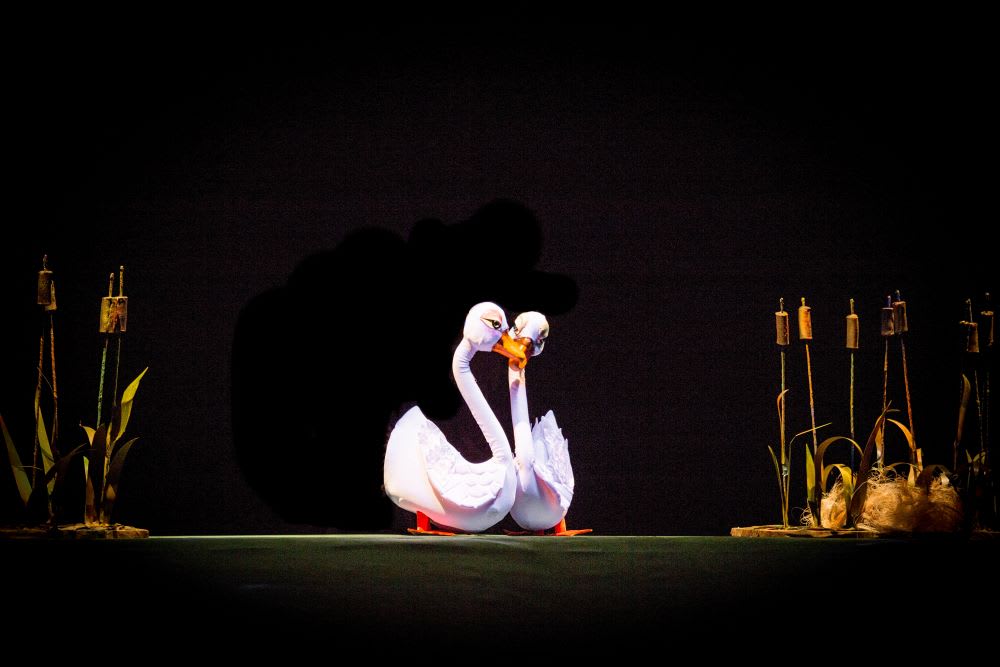 Spectacol Teatrul Căluțul de Mare
