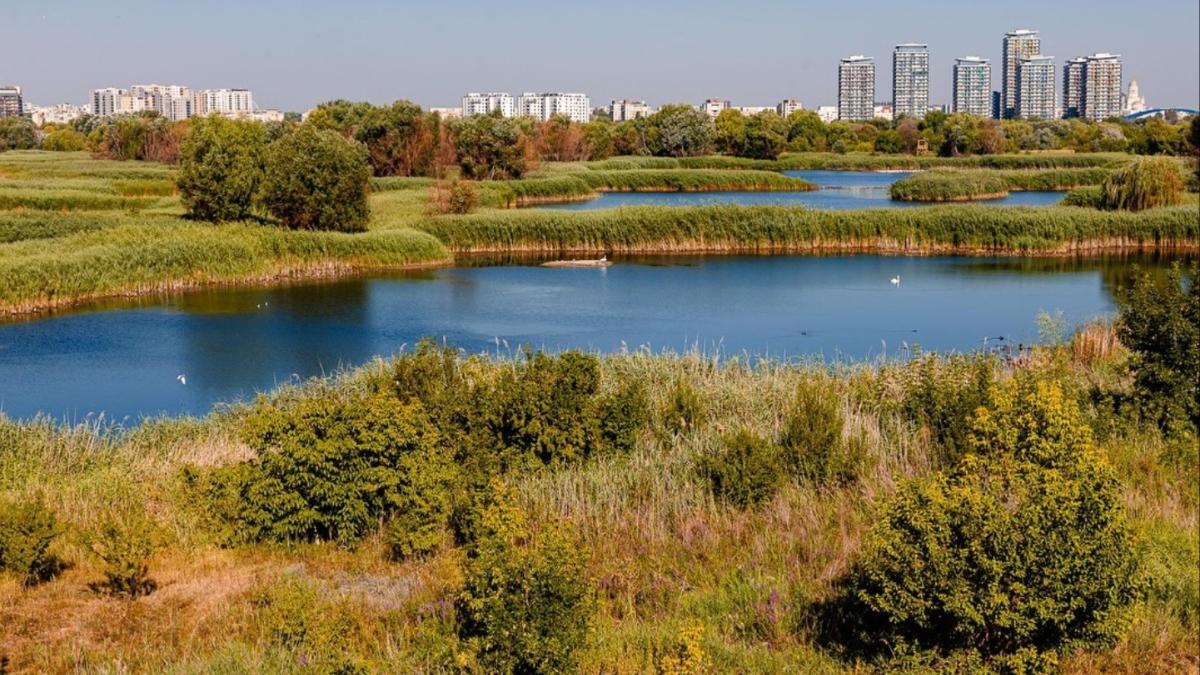 Parcul Natural Văcărești revine la viață în București