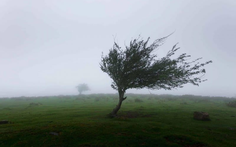 vânt puternic în zona montană vânt puternic în zona montană
