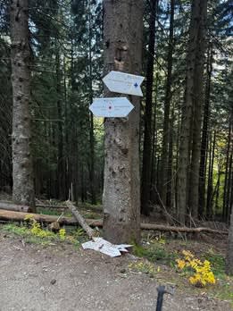 Foto: Salvamont Brașov