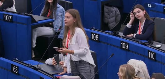 Elevi și profesori la Parlamentul European