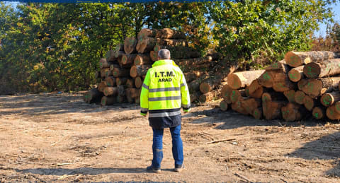 ITM Arad a verificat respectarea normelor de securitate în muncă în domeniul forestier