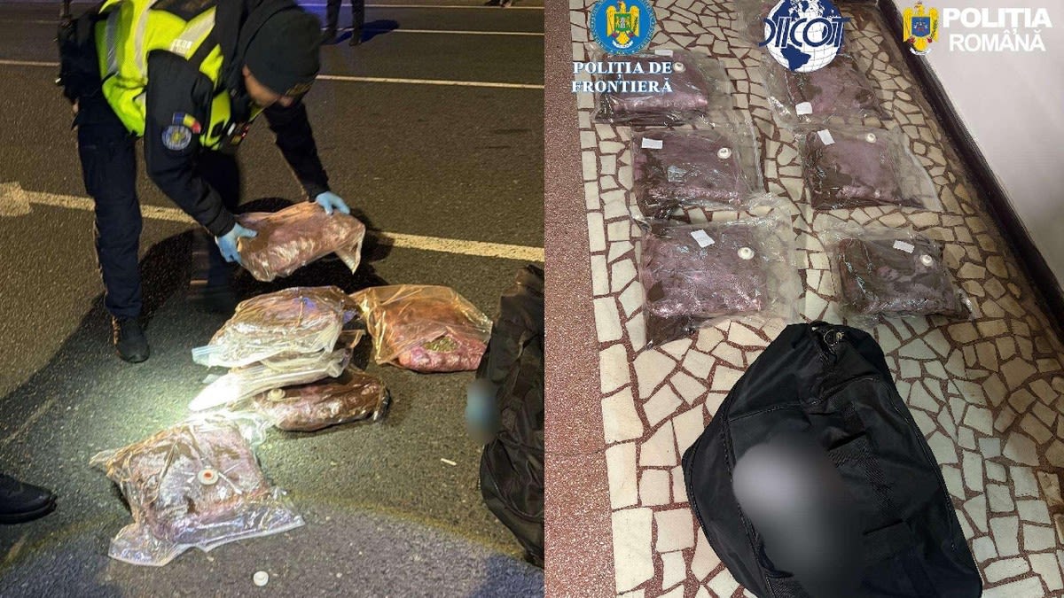 Un tânăr de 21 de ani a fost reținut la vama Nădlac cu peste 7 kilograme de canabis