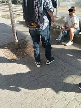 Foto: Directia Generala Politia Locala Timisoara