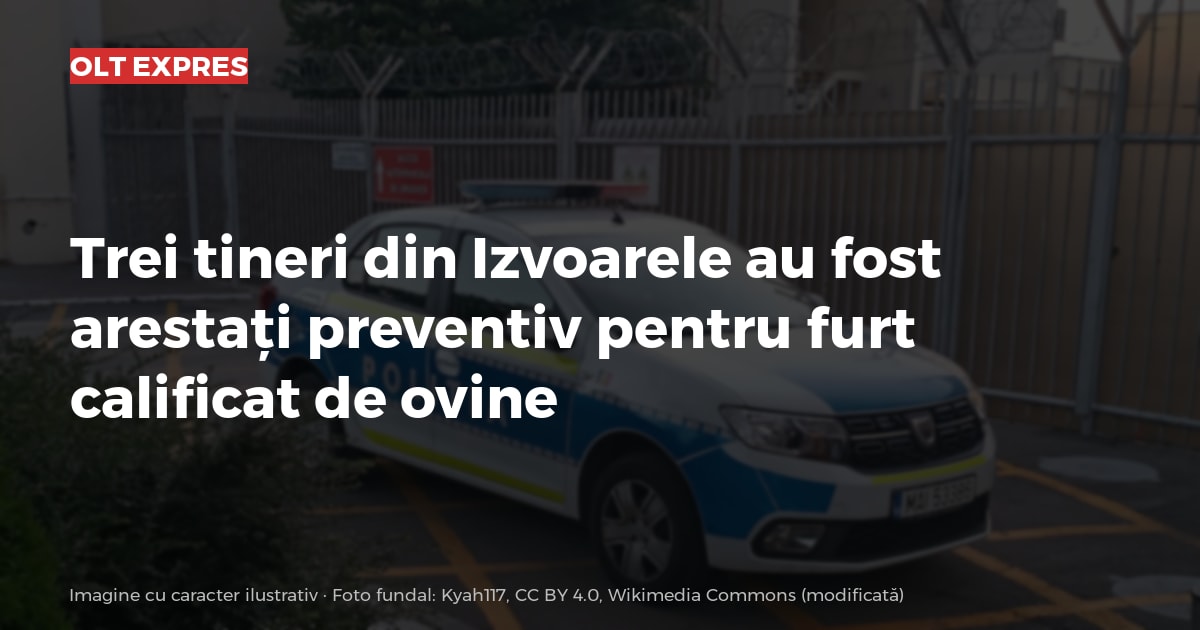 Trei tineri din Izvoarele au fost arestați preventiv pentru furt calificat de ovine