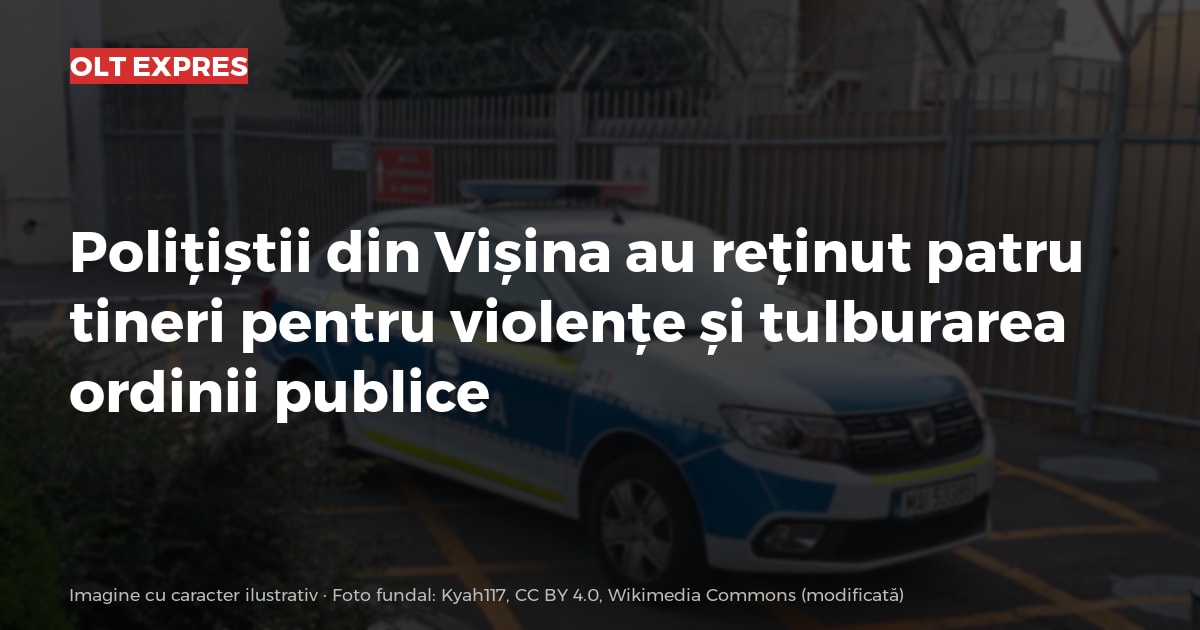 Polițiștii din Vișina au reținut patru tineri pentru violențe și tulburarea ordinii publice