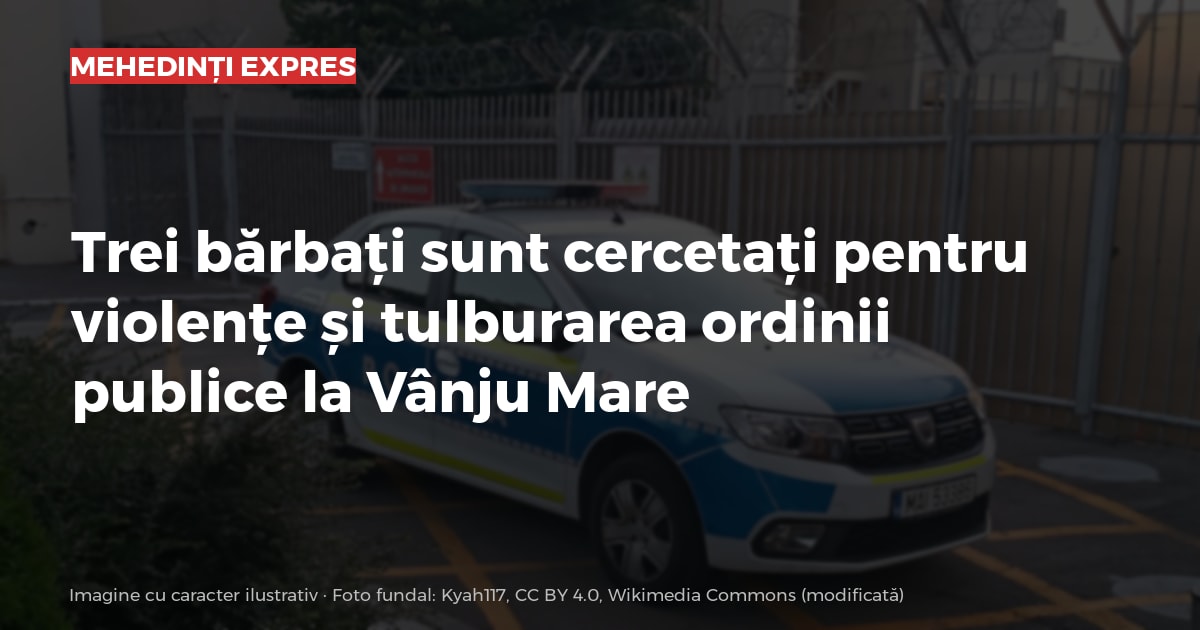 Trei bărbați sunt cercetați pentru violențe și tulburarea ordinii publice la Vânju Mare