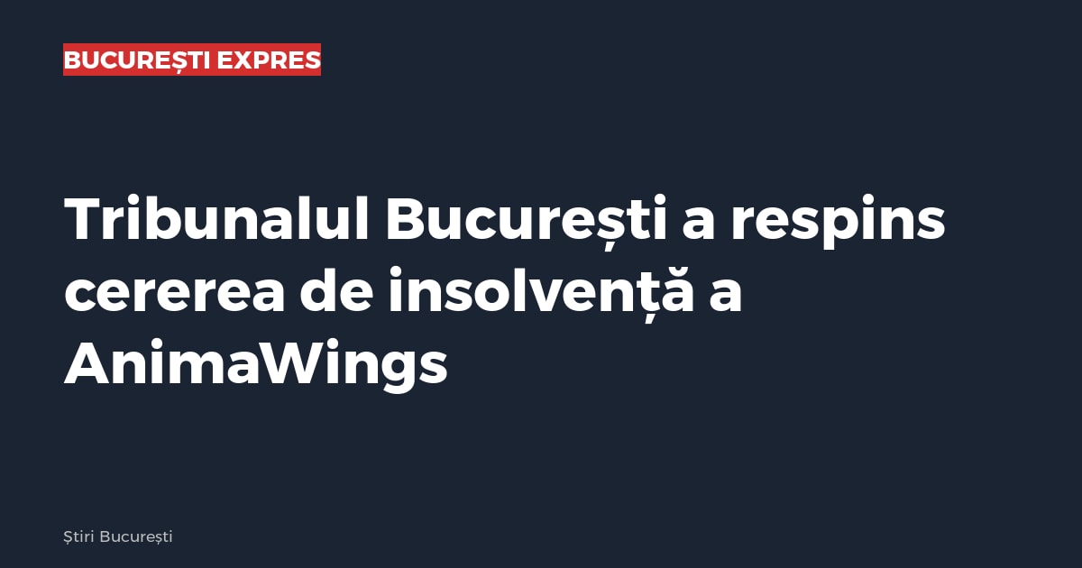 Tribunalul București a respins cererea de insolvență a AnimaWings