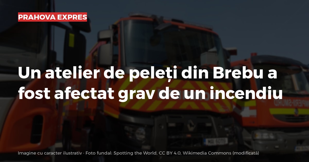 Un atelier de peleți din Brebu a fost afectat grav de un incendiu