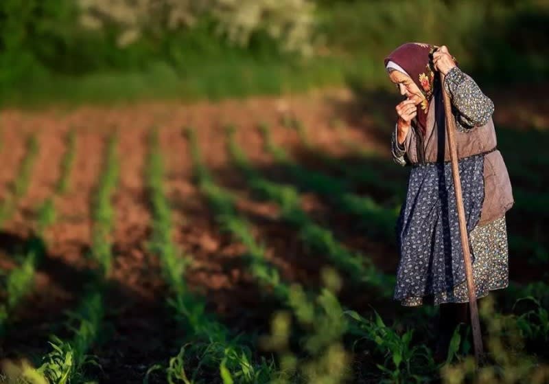 România celebrează Ziua internațională a femeilor din mediul rural pe 15 octombrie