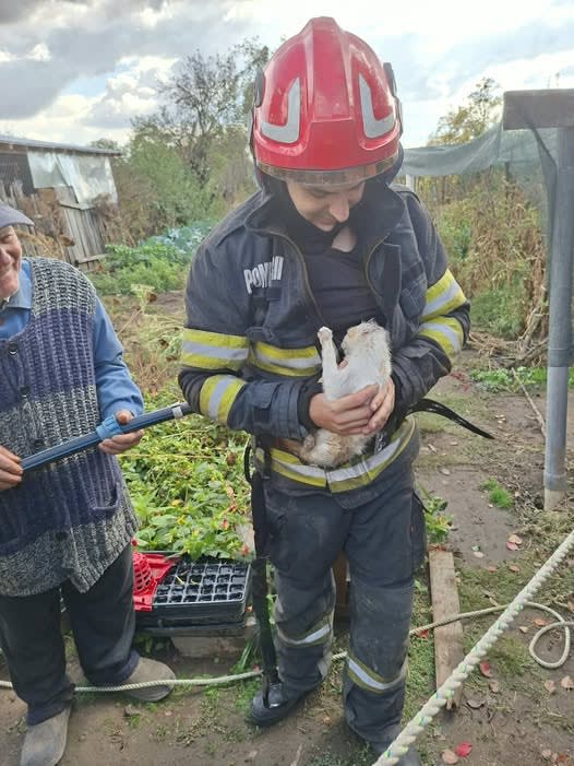 Pompierii din Bratovoești au salvat un pisoi căzut într-o fântână în comuna Celaru