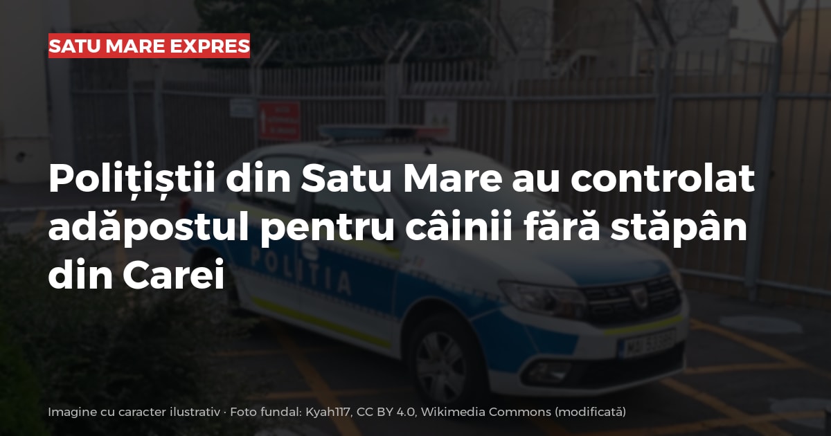 Polițiștii din Satu Mare au controlat adăpostul pentru câinii fără stăpân din Carei