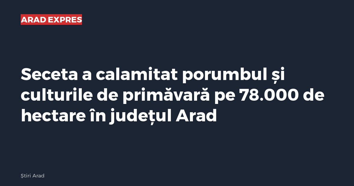 Imagine cu caracter ilustrativ