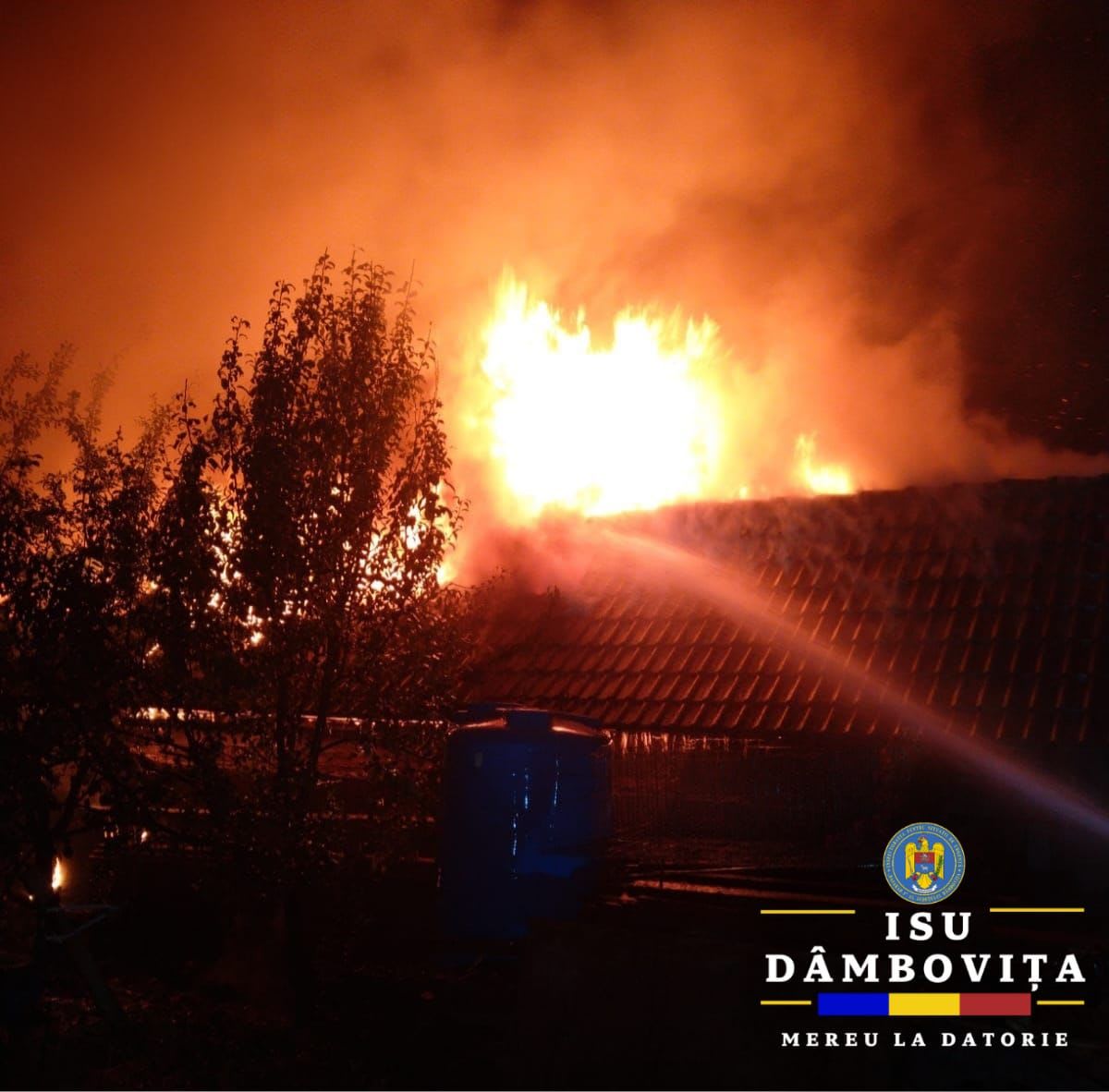 Foto: ISU Dâmbovița
