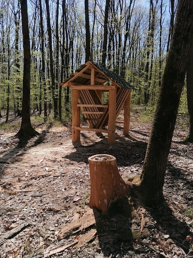 Capre negre și ciută în pădure