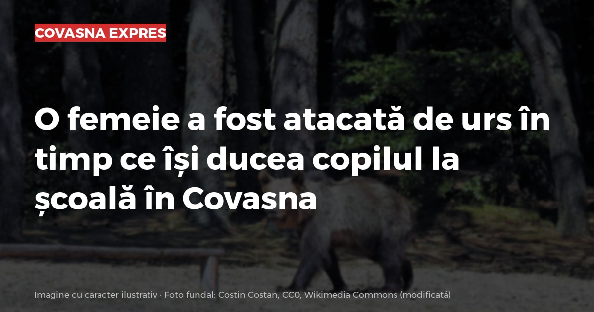 Imagine cu caracter ilustrativ