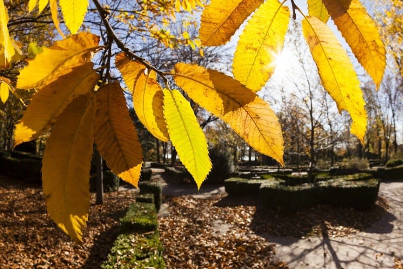 Meteorologii prognozează temperaturi și precipitații normale până în noiembrie