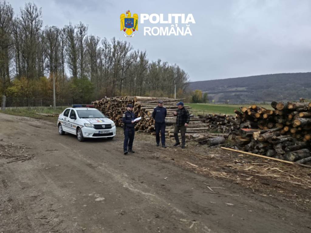 Polițiști inspectând material lemnos confiscat