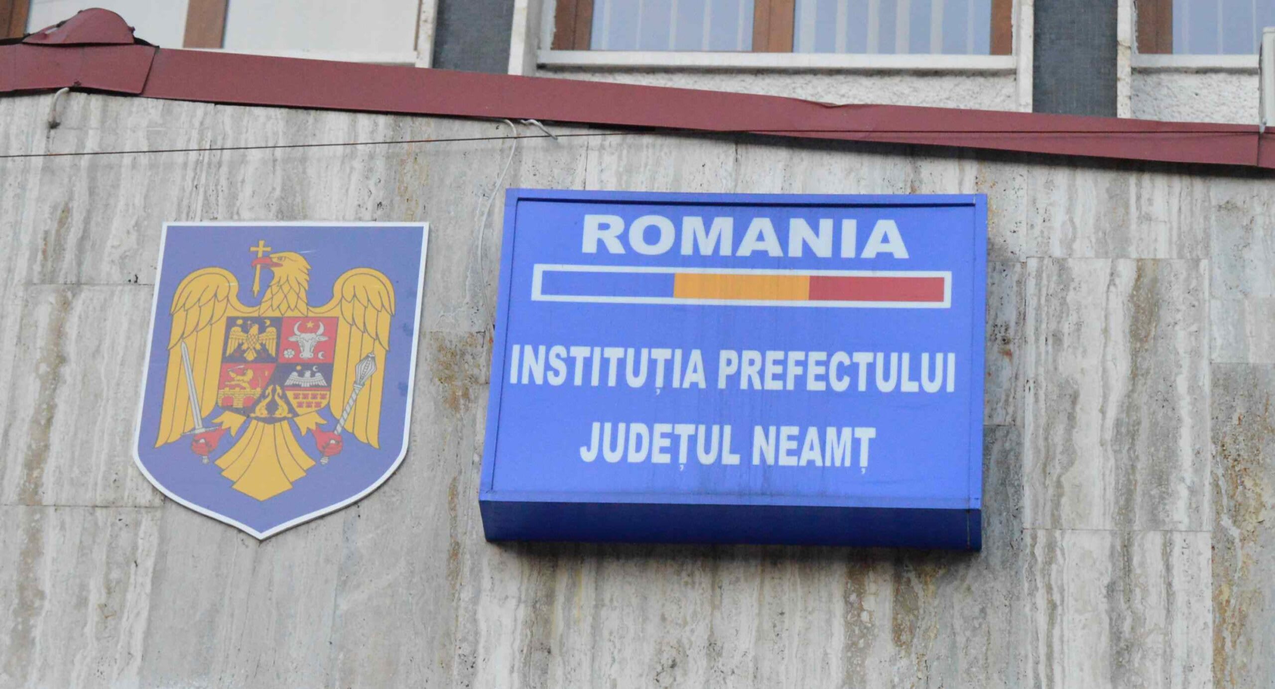 vulpe moartă, focar de rabie, restricții veterinare