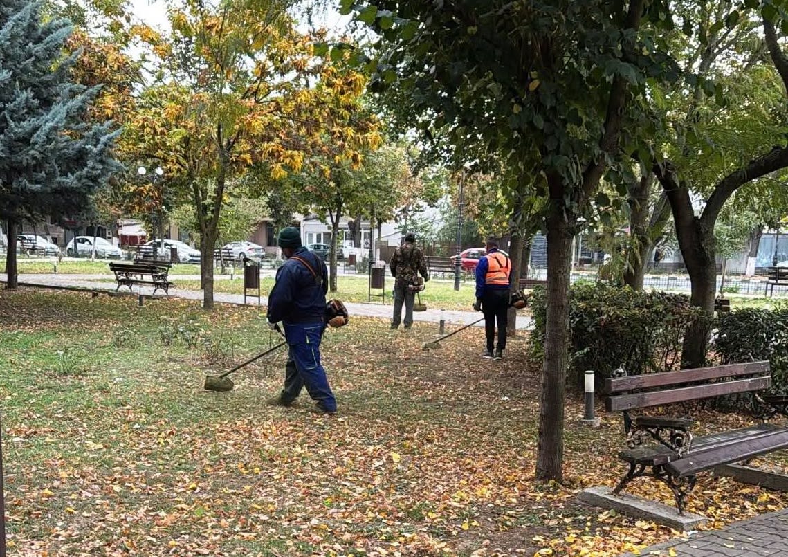 Lucrări de întreținere a spațiilor verzi în Giurgiu