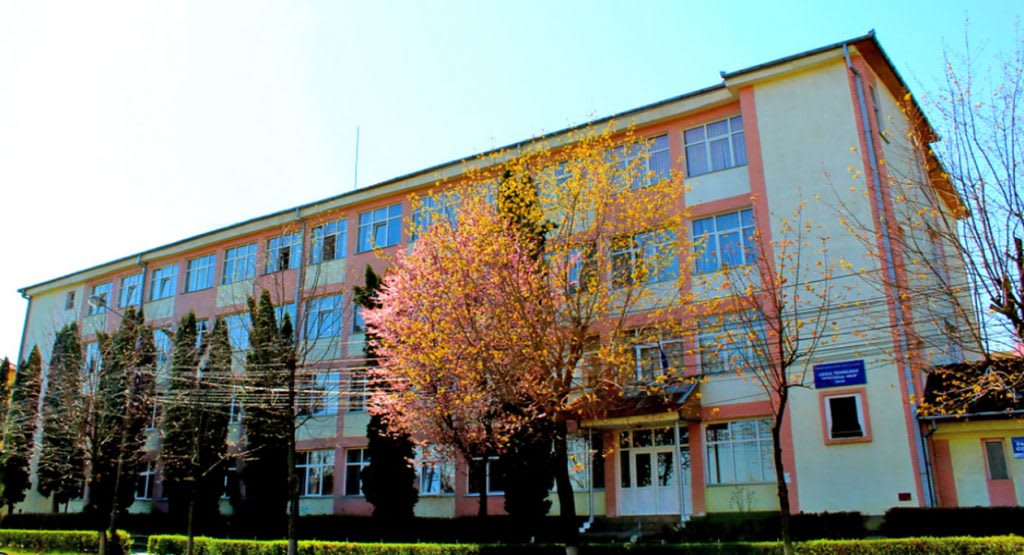 Activități Erasmus Days la Liceul Tehnologic Voievodul Gelu