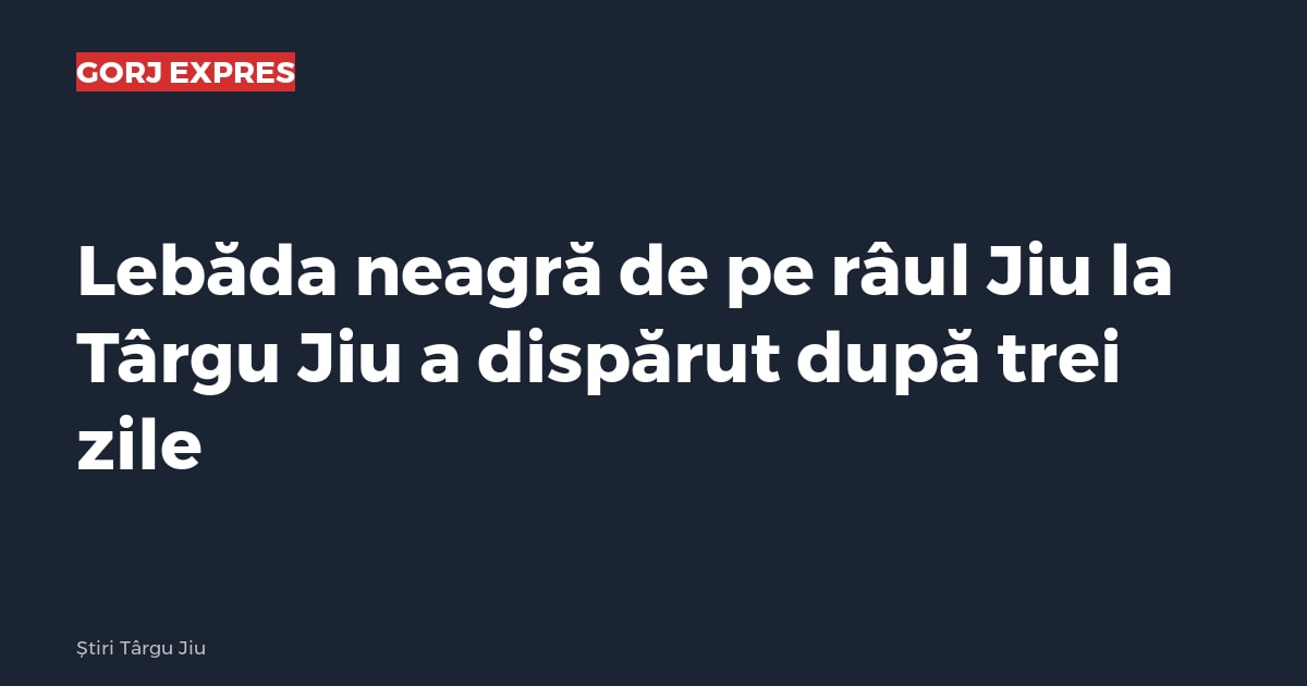 Imagine cu caracter ilustrativ