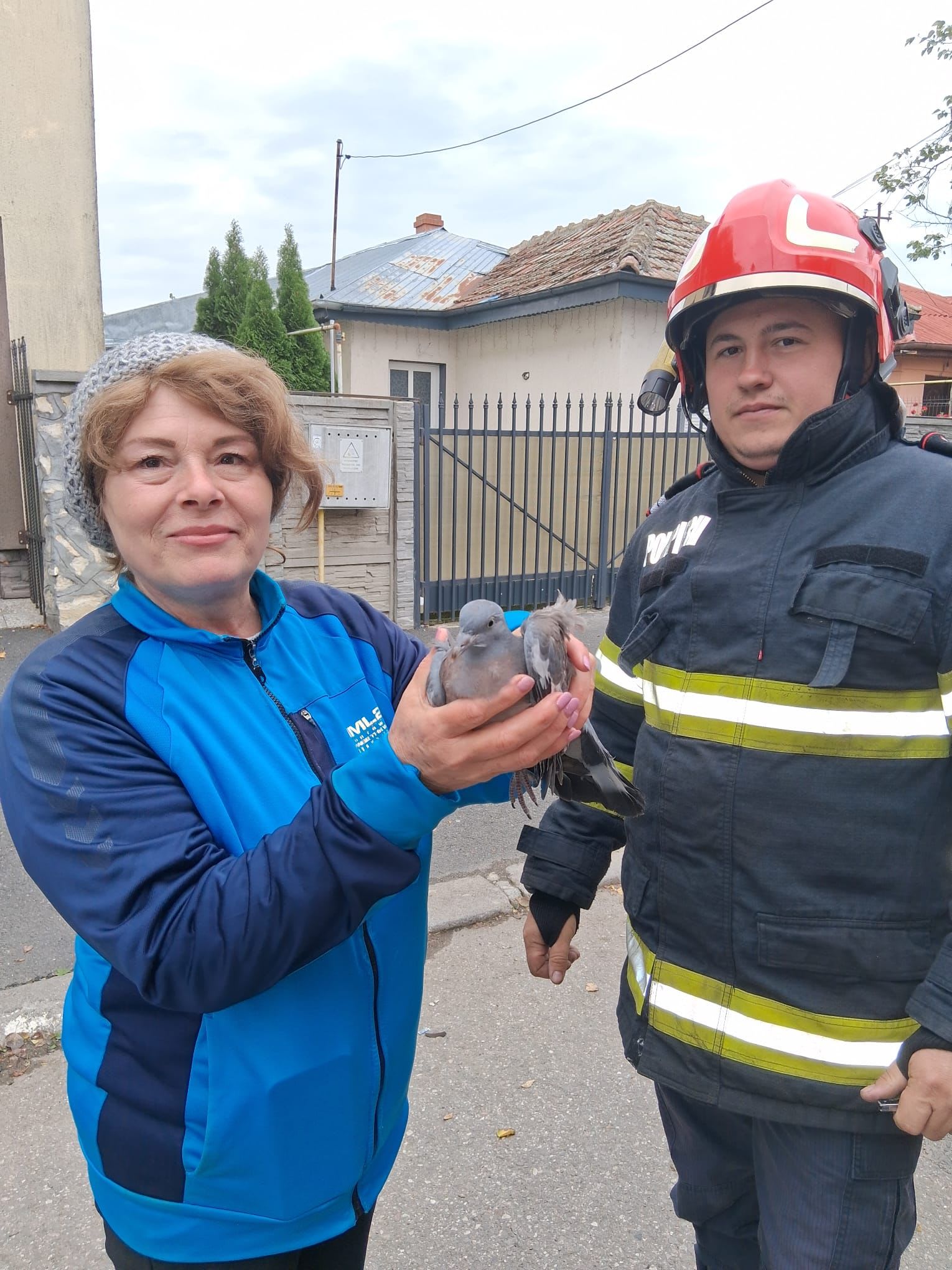 Foto: ISU Călărași