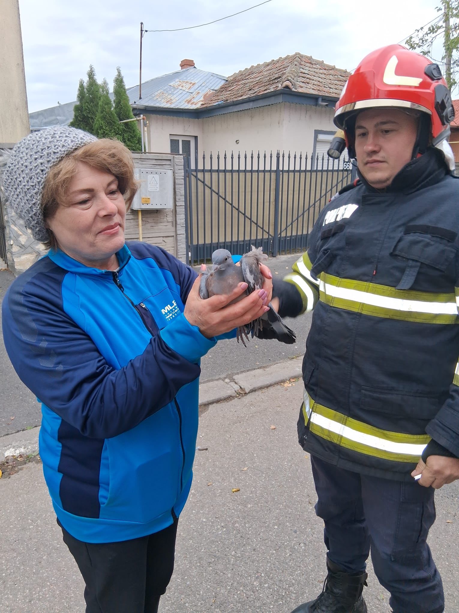 Foto: ISU Călărași