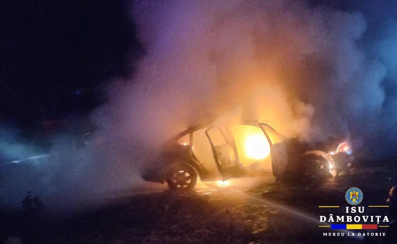Foto: ISU Dâmbovița